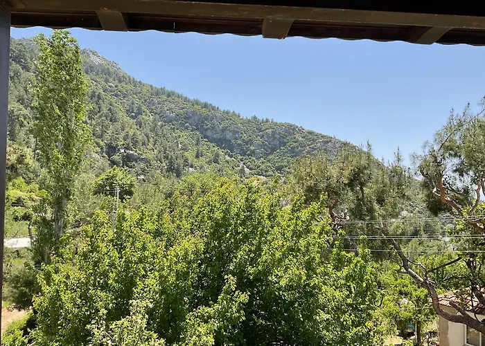 Mulberry House 度假居 卡斯