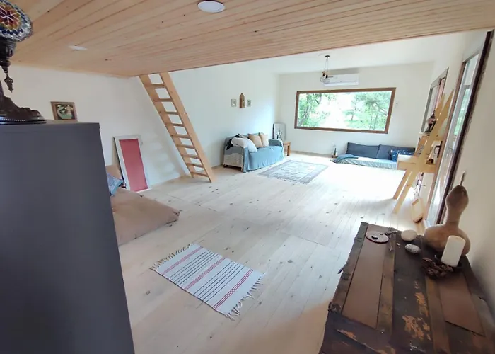 Mulberry House * 卡斯