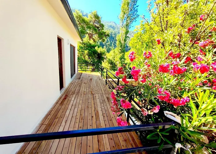 Mulberry House * 卡斯