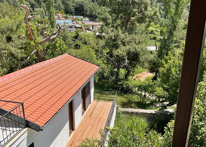 Mulberry House 度假居