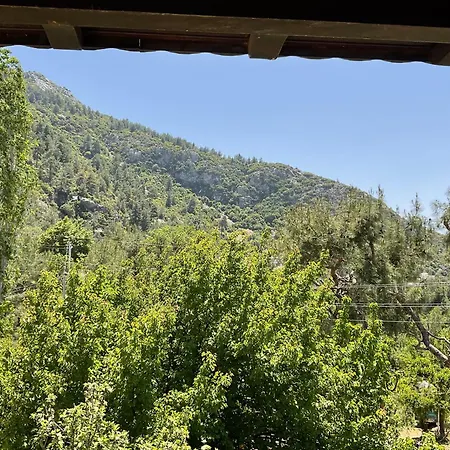 Mulberry House בית נופש קס