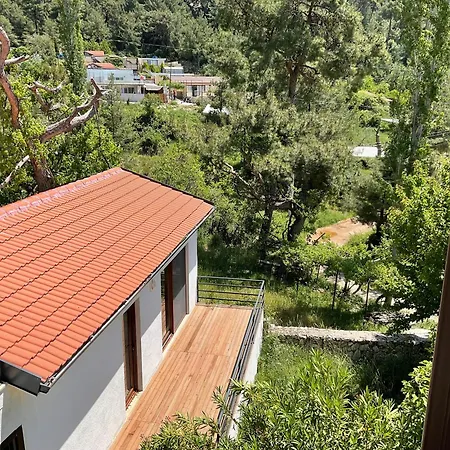 Mulberry House בית נופש